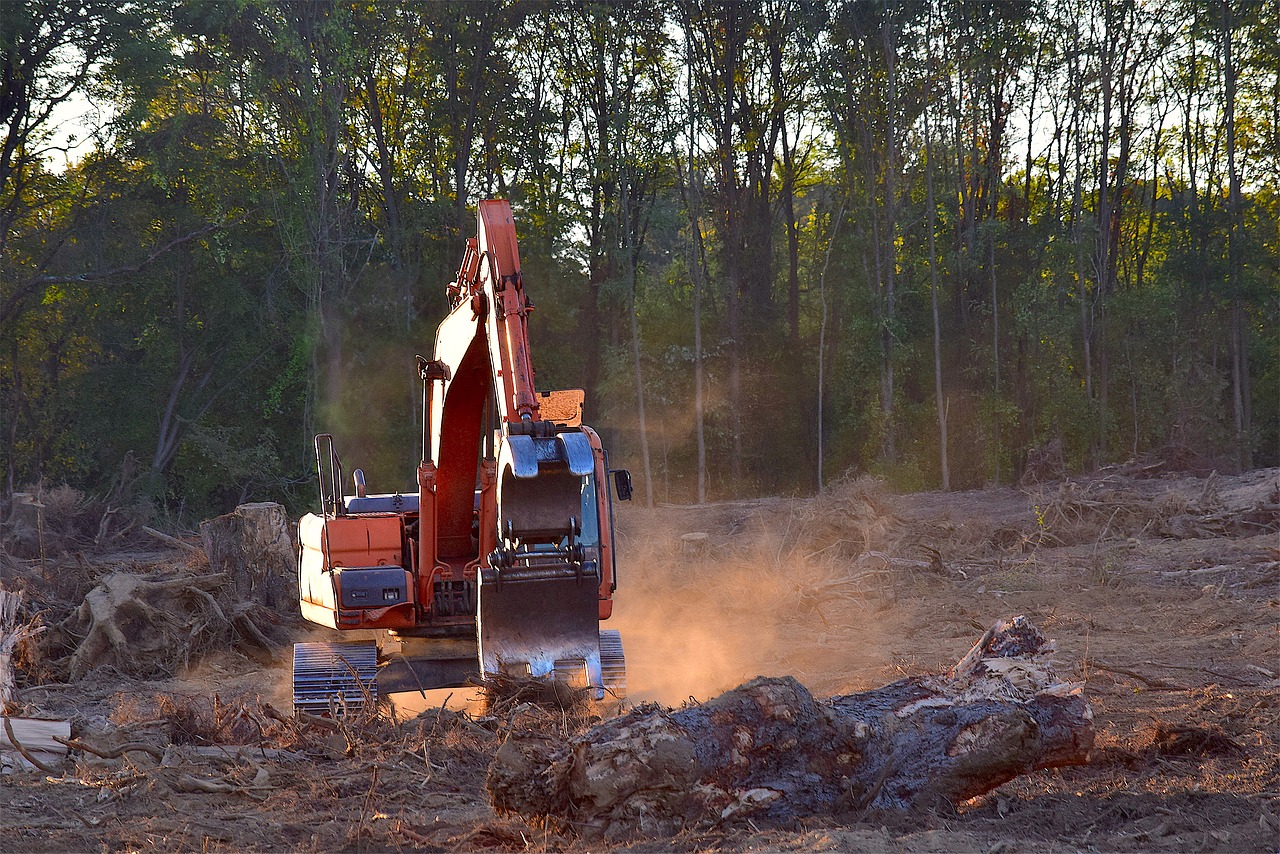 Deforestation machine in action. 